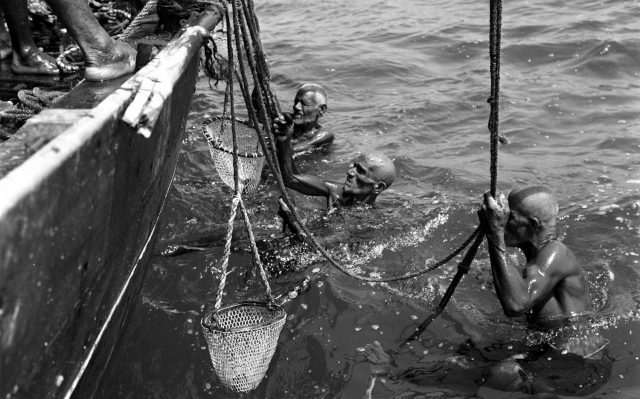 Bahrain pearl divers shave their heads, grease their bodies and use ropes and baskets to dive for natural pearls.