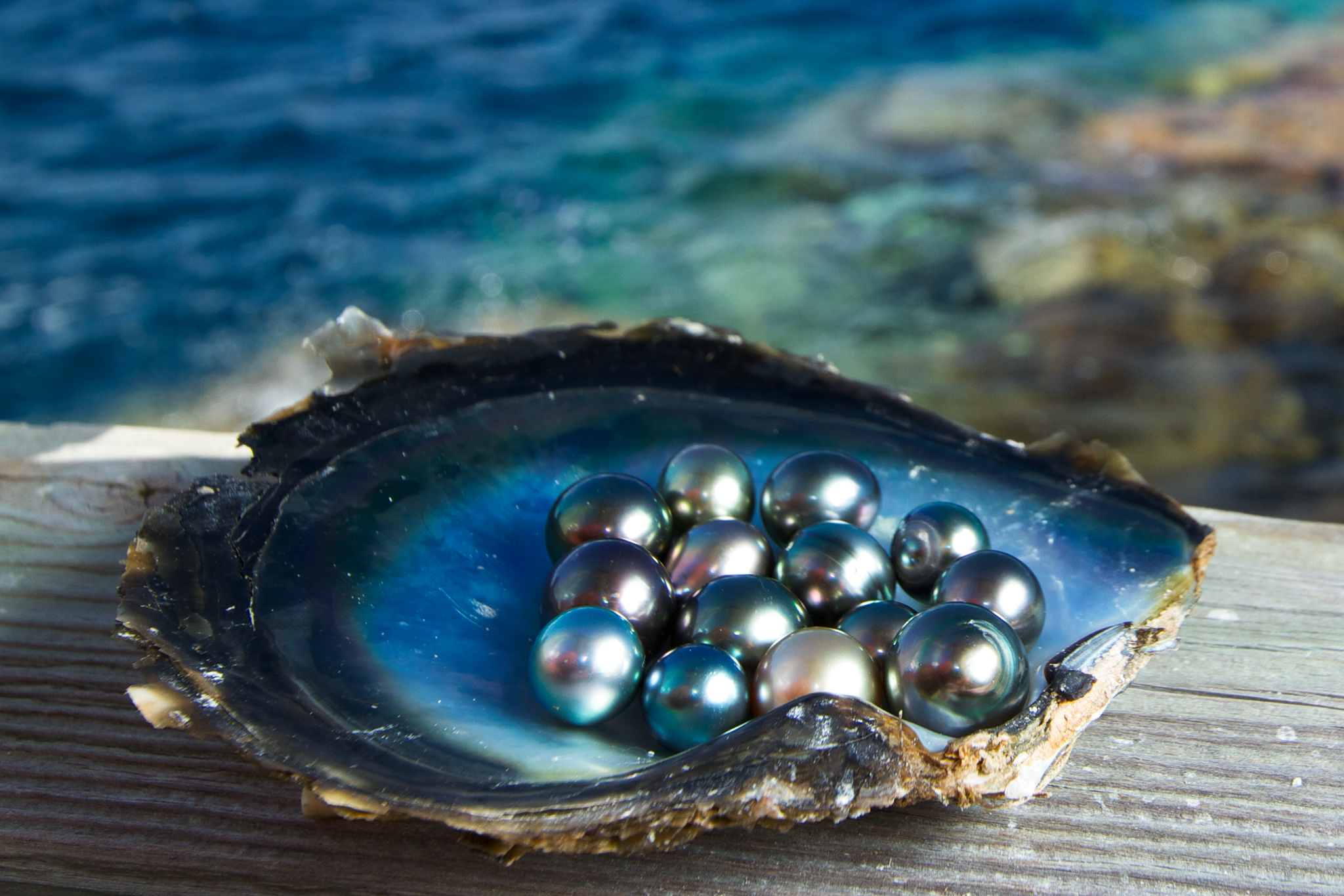 Sustainable Jewelry: Are Pearls Really Eco-Friendly Gems? Some Say No Image