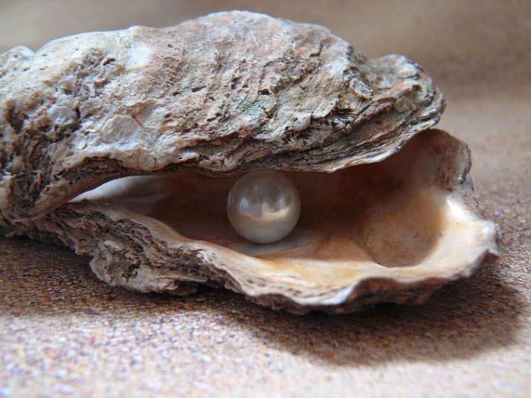 facts about pearls