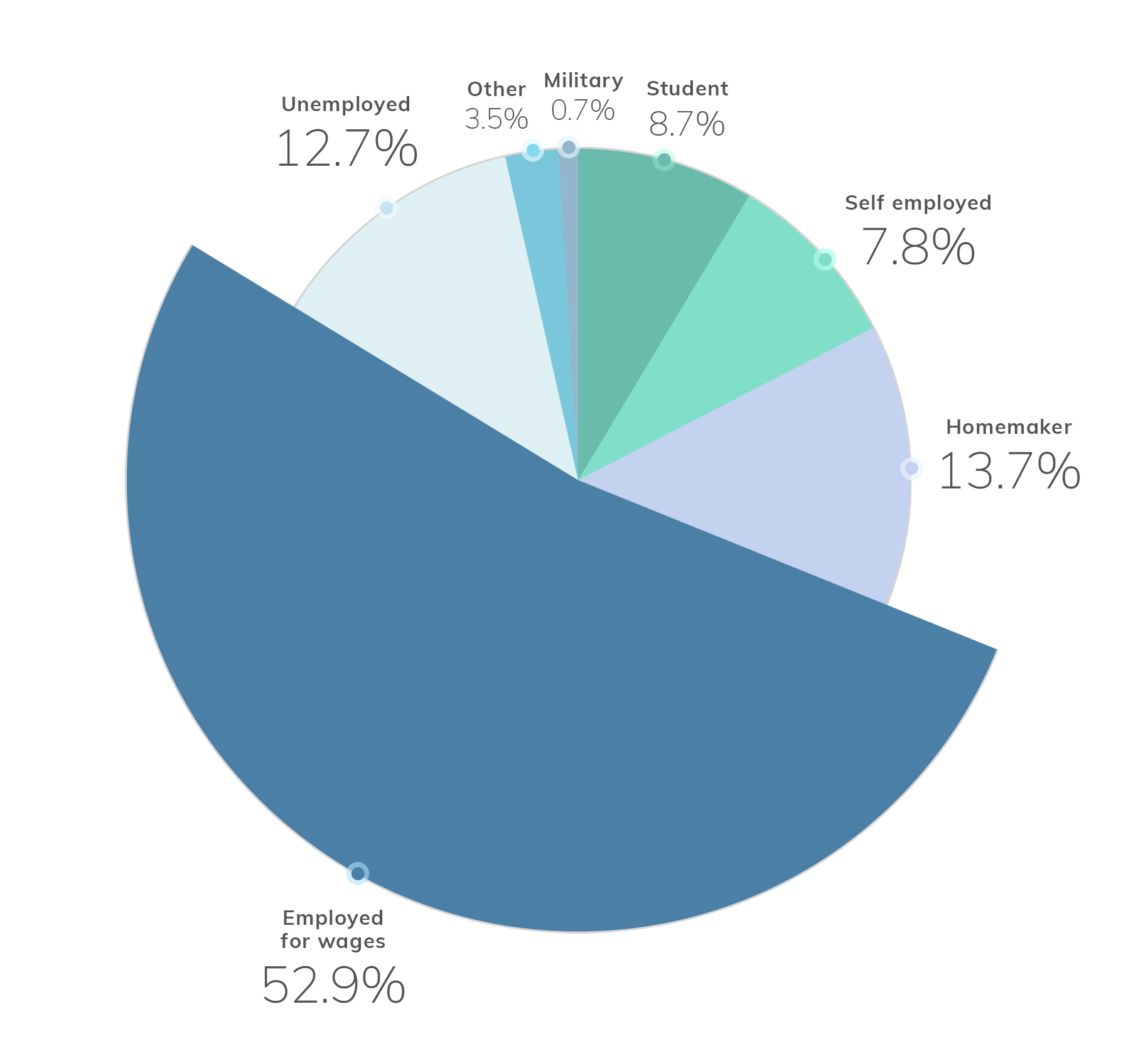 Millennial Spending Habits - Employment Demographics