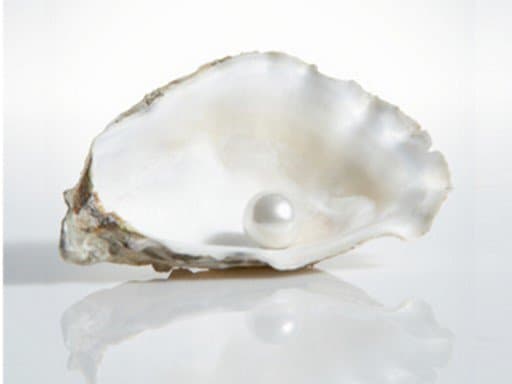 pearl within a mollusk