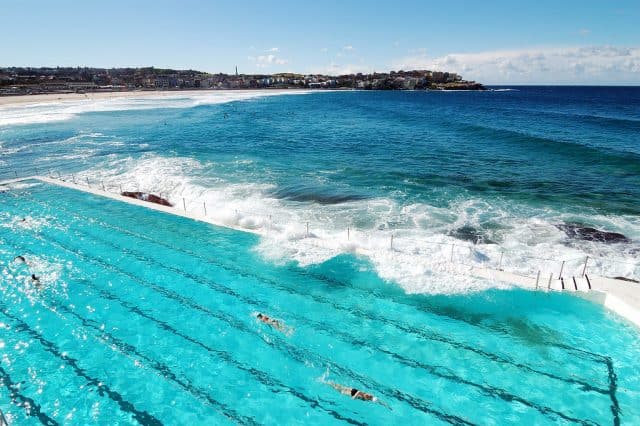 Bondi Icebergs