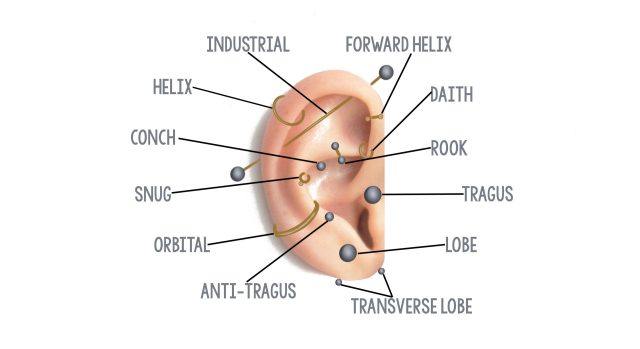 Types of Ear Piercings