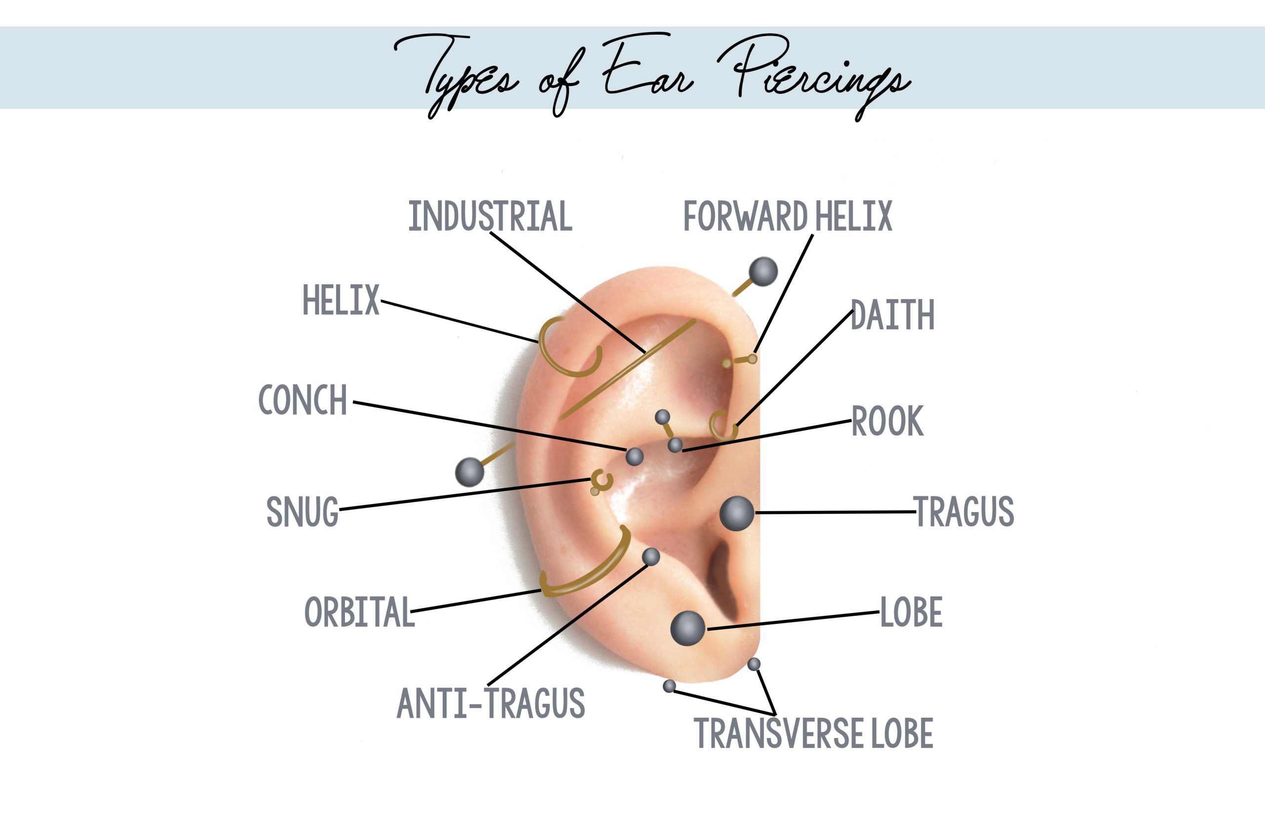 Types of Ear Piercings