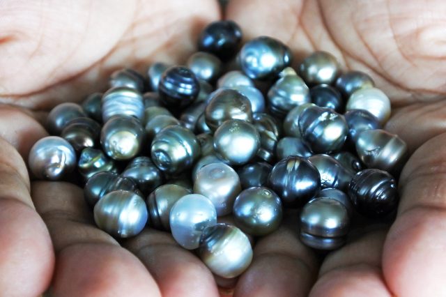 tahitian pearls