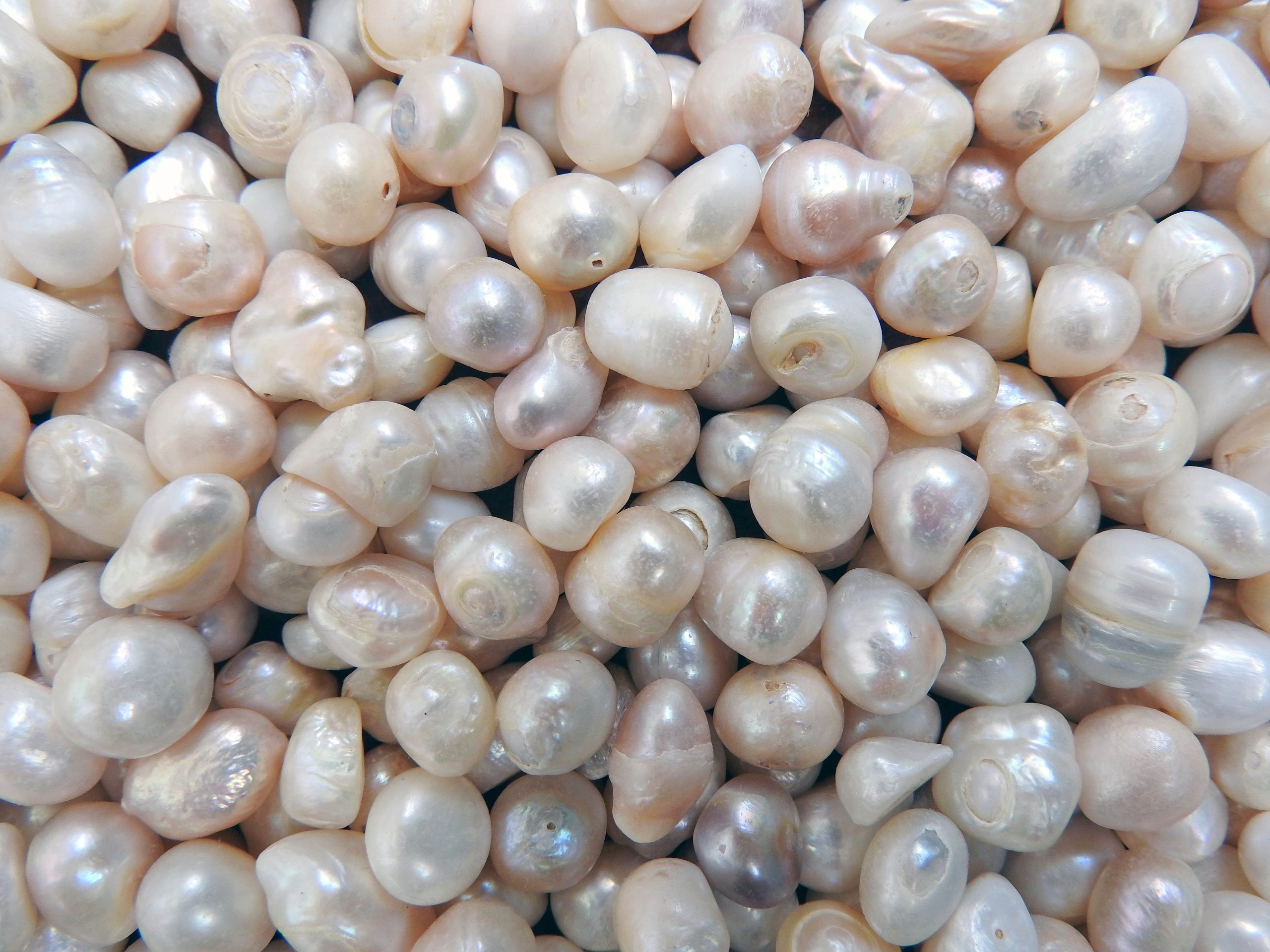 Understanding Pearl Colors How Oysters Create Different Color Gems Understanding Pearl Colors How Oysters Create Different Color Gems