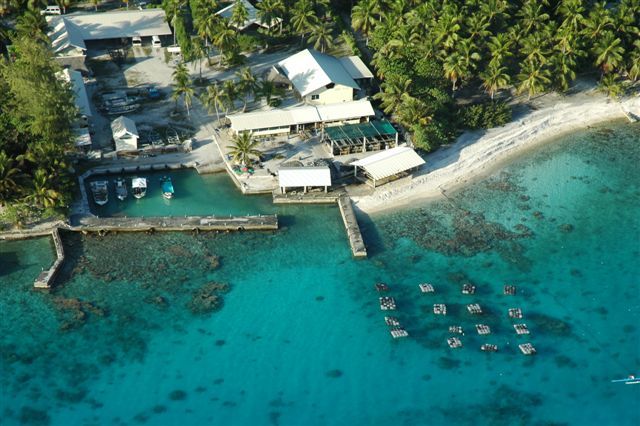 Where pearls come from in Tahiti