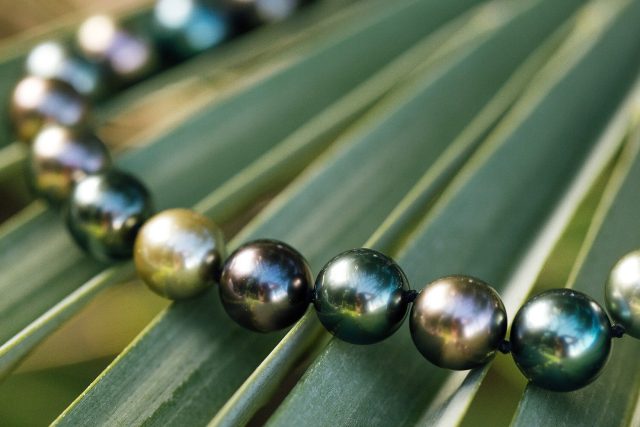 Close-up of a strand of Tahitian pearls in a row on a green palm frond, showing their natural range of colors from bronze and peacock green to silver-blue overtones.