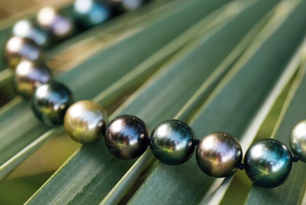 A string of Tahitian pearls on a backdrop of a palm leaf.
